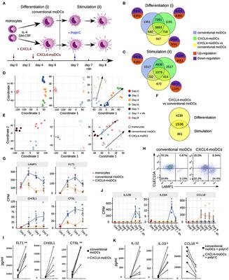 CXCL4 Links Inflammation and Fibrosis by Reprogramming Monocyte-Derived Dendritic Cells in vitro